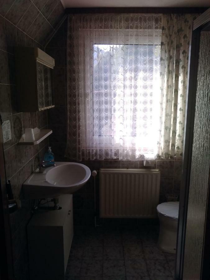 Hotel Bergschlosschen Zorge エクステリア 写真