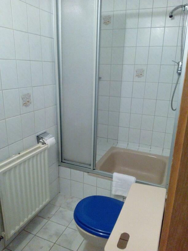 Hotel Bergschlosschen Zorge エクステリア 写真